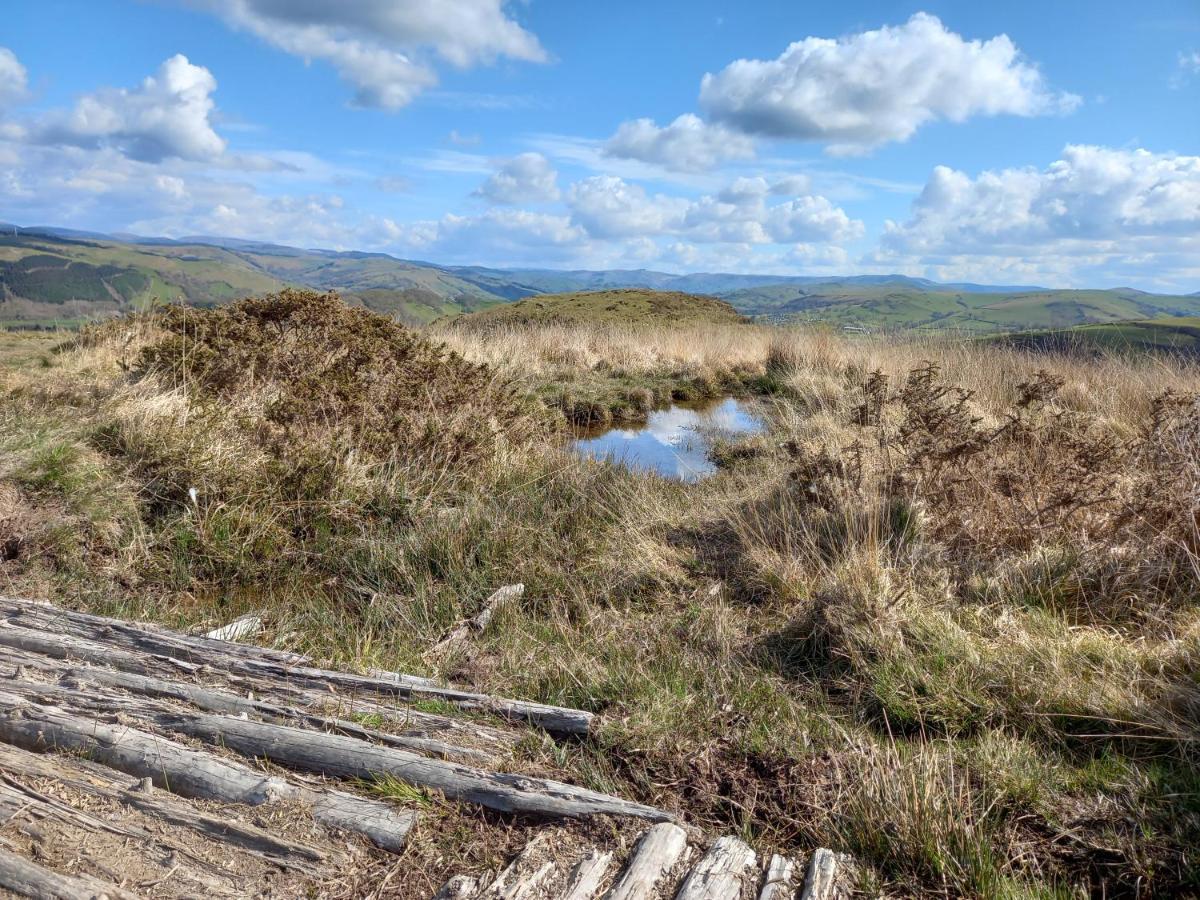 Bwthyn Gweilch Villa Machynlleth Bagian luar foto